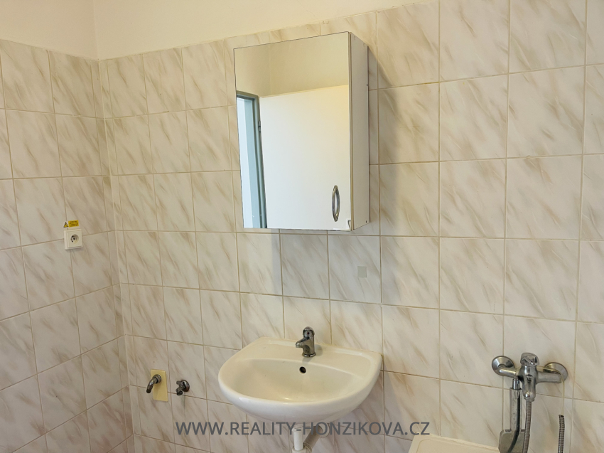 Prodej, byt 3+kk+B+zahrada, ul. Na Výsluní, Blížejov, okres DO