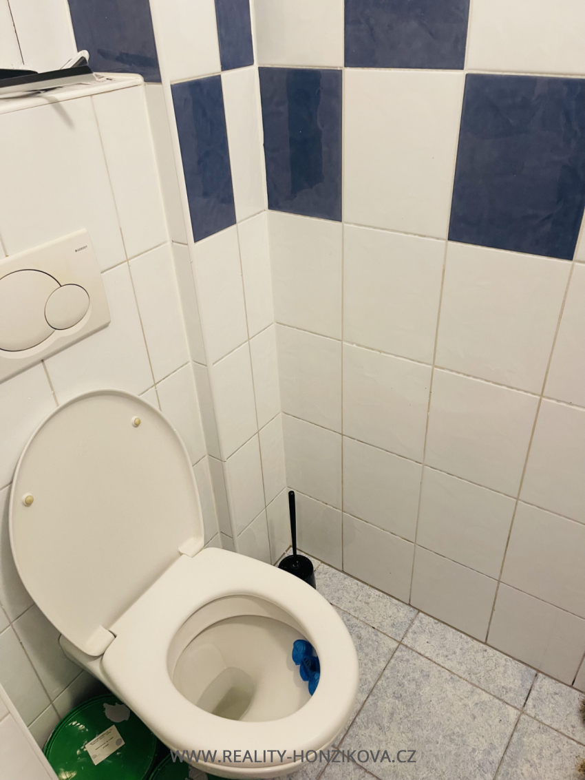 Pronájem, byt 1+1, 48m2, ul. Borská, Plzeň