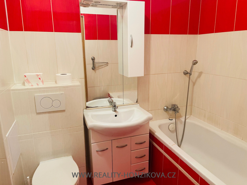 Pronájem, byt 1+kk, ul. Sladkovského, Plzeň -město