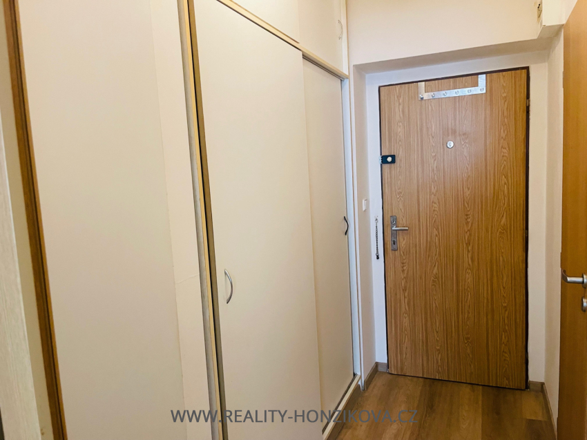 Pronájem, byt 1+kk, ul. Sladkovského, Plzeň -město