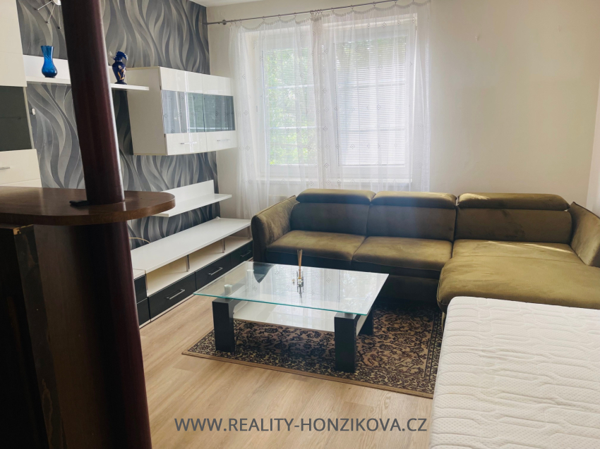 Pronájem, byt 1+kk, ul. Sladkovského, Plzeň -město