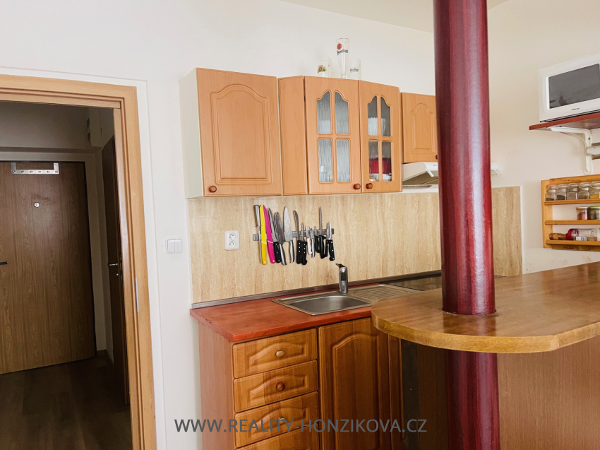 Pronájem, byt 1+kk, ul. Sladkovského, Plzeň -město