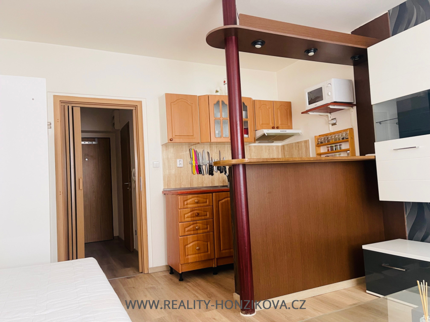 Pronájem, byt 1+kk, ul. Sladkovského, Plzeň -město