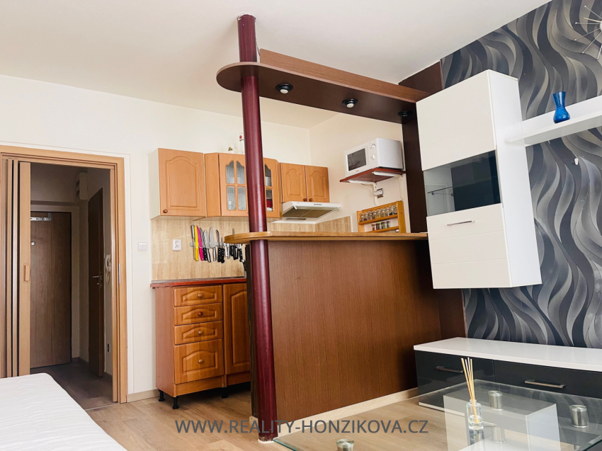 Pronájem, byt 1+kk, ul. Sladkovského, Plzeň -město