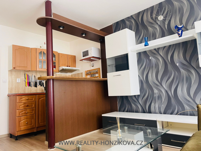 Pronájem, byt 1+kk, ul. Sladkovského, Plzeň -město