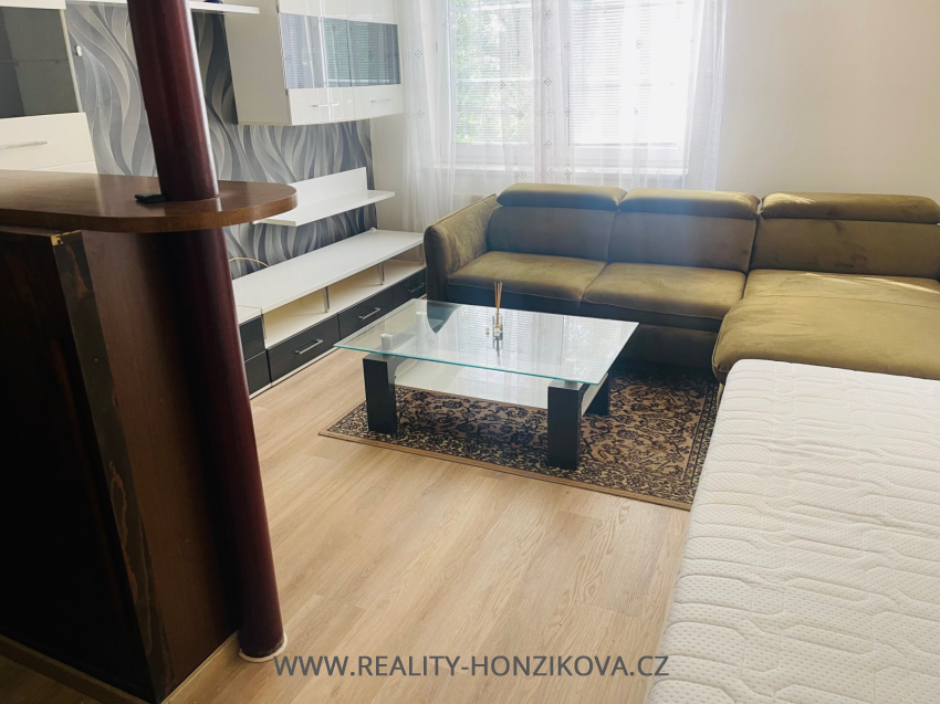 Pronájem, byt 1+kk, ul. Sladkovského, Plzeň -město