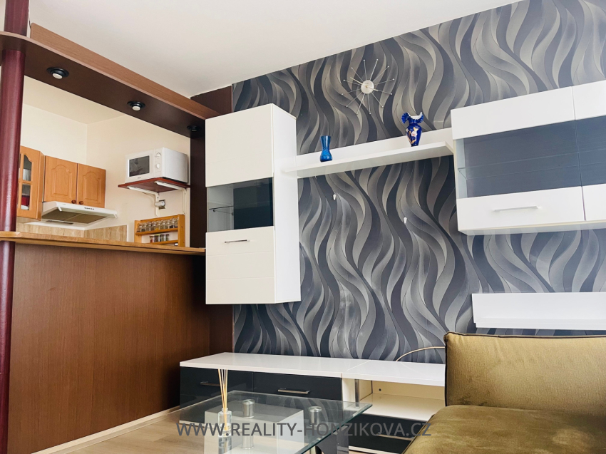 Pronájem, byt 1+kk, ul. Sladkovského, Plzeň -město