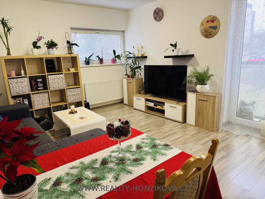 Prodej, byt 2+kk, 58m2, U Velkého rybníka, Plzeň - město