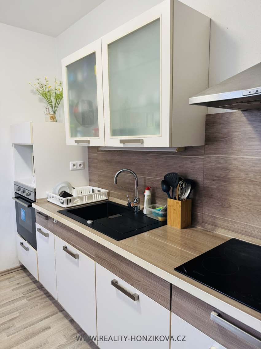 Prodej, byt 2+kk, 58m2, U Velkého rybníka, Plzeň - město