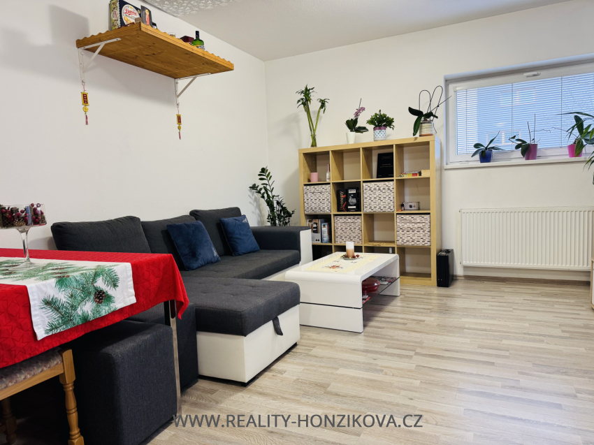 Prodej, byt 2+kk, 58m2, U Velkého rybníka, Plzeň - město