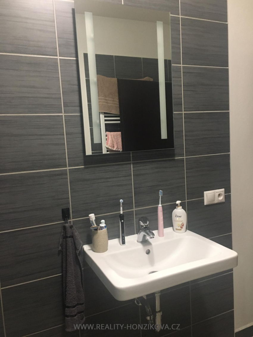 Prodej, byt 2+kk, 58m2, U Velkého rybníka, Plzeň - město