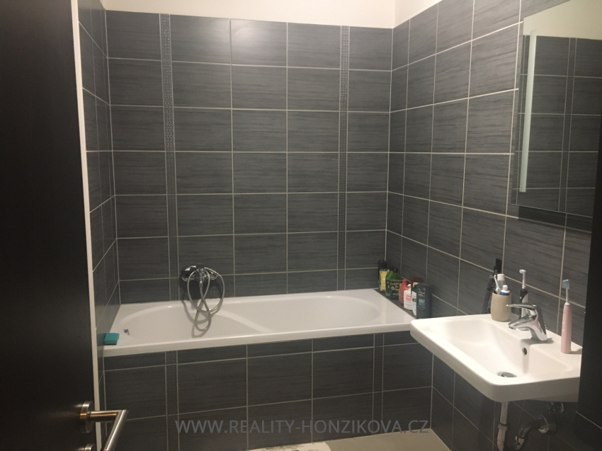 Prodej, byt 2+kk, 58m2, U Velkého rybníka, Plzeň - město