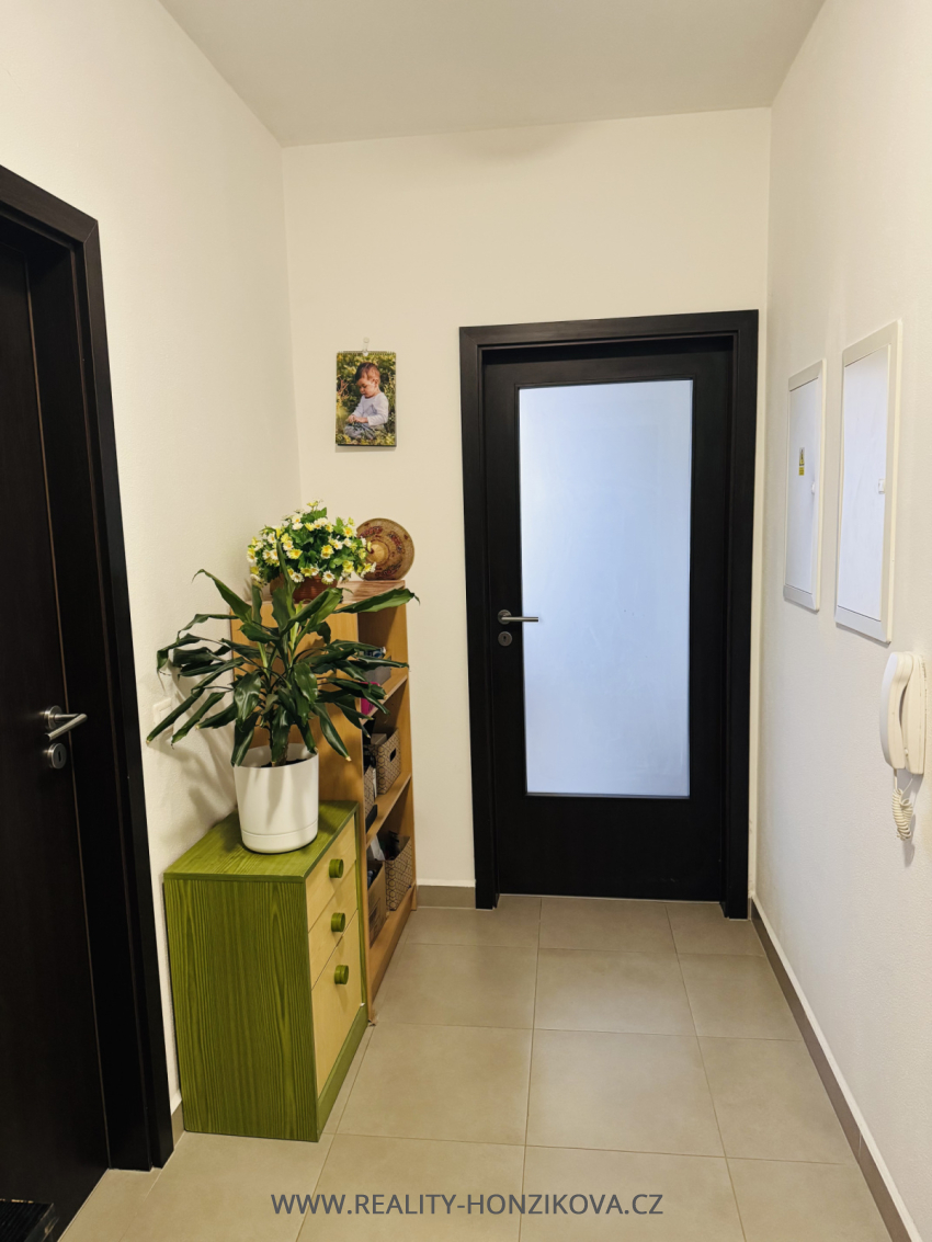 Prodej, byt 2+kk, 58m2, U Velkého rybníka, Plzeň - město