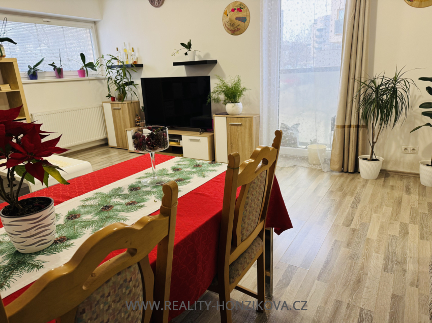 Prodej, byt 2+kk, 58m2, U Velkého rybníka, Plzeň - město