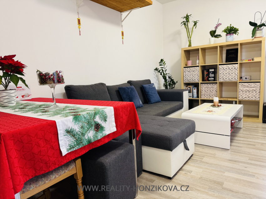 Prodej, byt 2+kk, 58m2, U Velkého rybníka, Plzeň - město