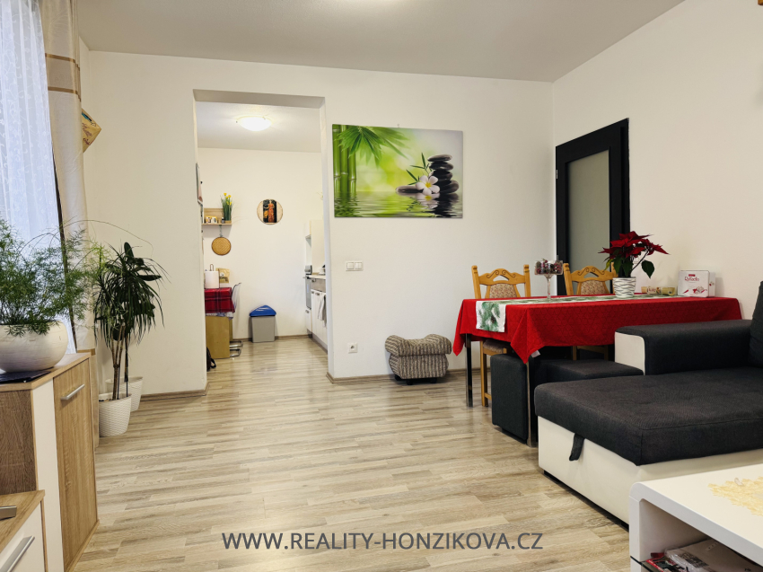 Prodej, byt 2+kk, 58m2, U Velkého rybníka, Plzeň - město