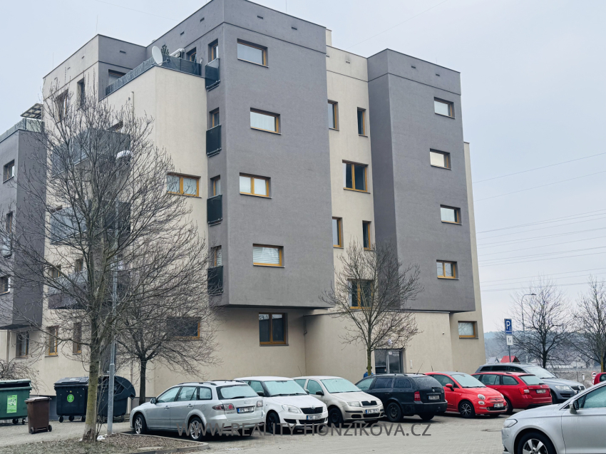 Prodej, byt 2+kk, 58m2, U Velkého rybníka, Plzeň - město