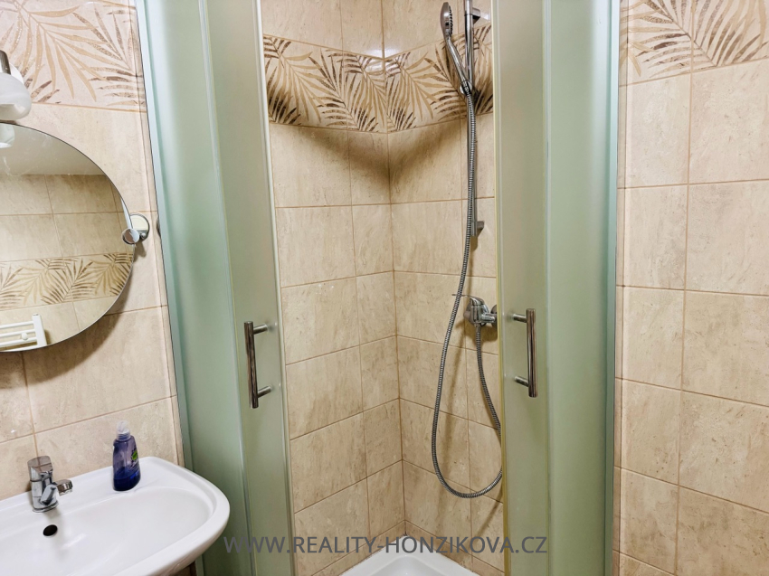 Prodej, byt 2+1, ul. Krajní, Plzeň - město