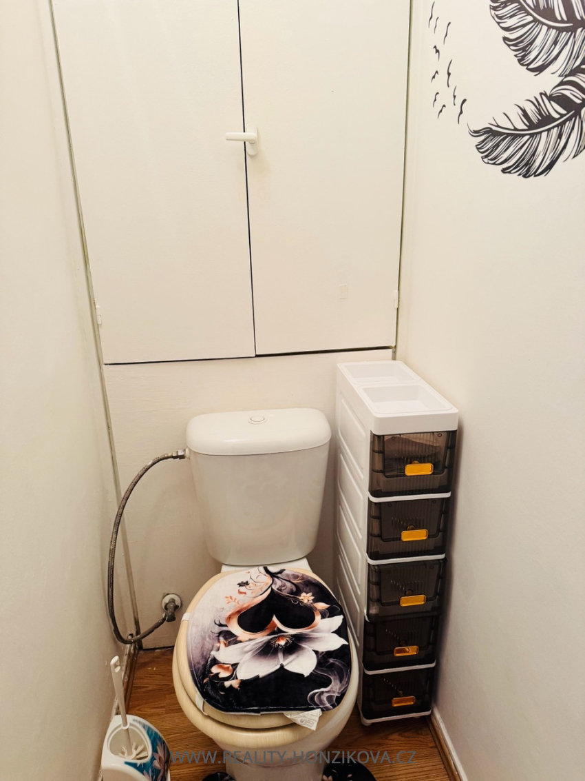 Pronájem, byt 4+1+L, 85m2, ul. Nýřanská, Plzeň - město