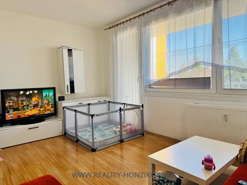 Pronájem, byt 4+1+L, 85m2, ul. Nýřanská, Plzeň - město