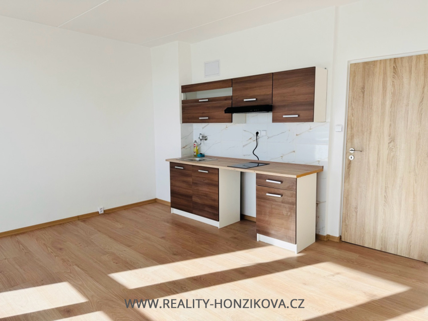 Pronájem, byt 1+kk+L, ul. Tachovská, Plzeň město