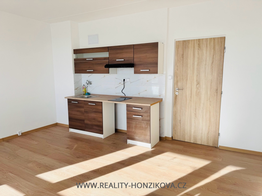 Pronájem, byt 1+kk+L, ul. Tachovská, Plzeň město