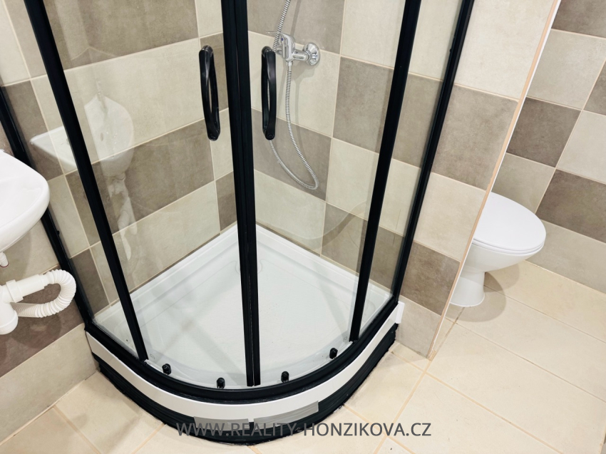 Pronájem, byt 1+kk+L, ul. Tachovská, Plzeň město