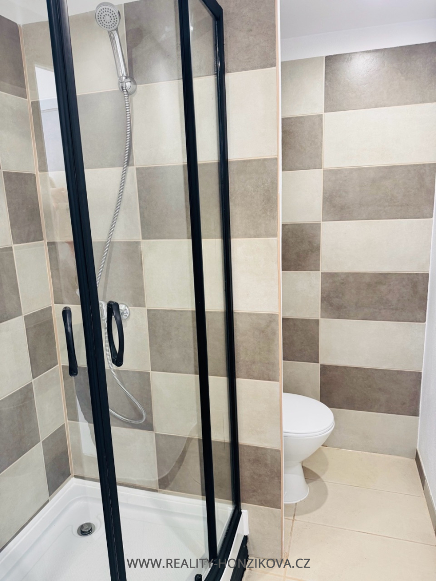 Pronájem, byt 1+kk+L, ul. Tachovská, Plzeň město