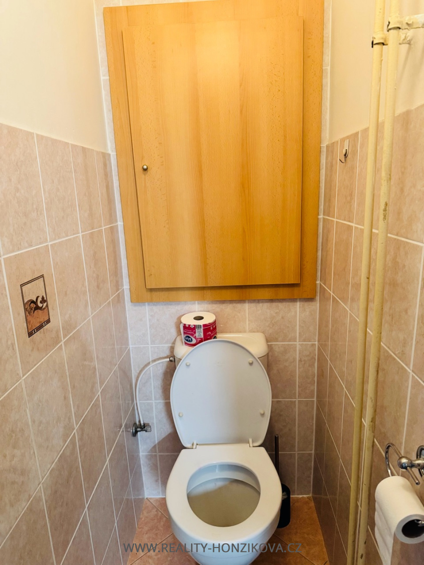 Pronájem, pokoje, 20m2, ul. Brojova, Plzeň - město