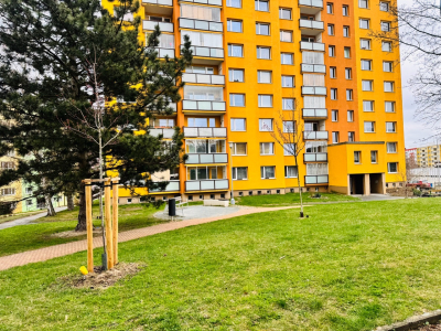 Prodej, byt 1+kk, 35m2, ul Sokolovská, Plzeň - město